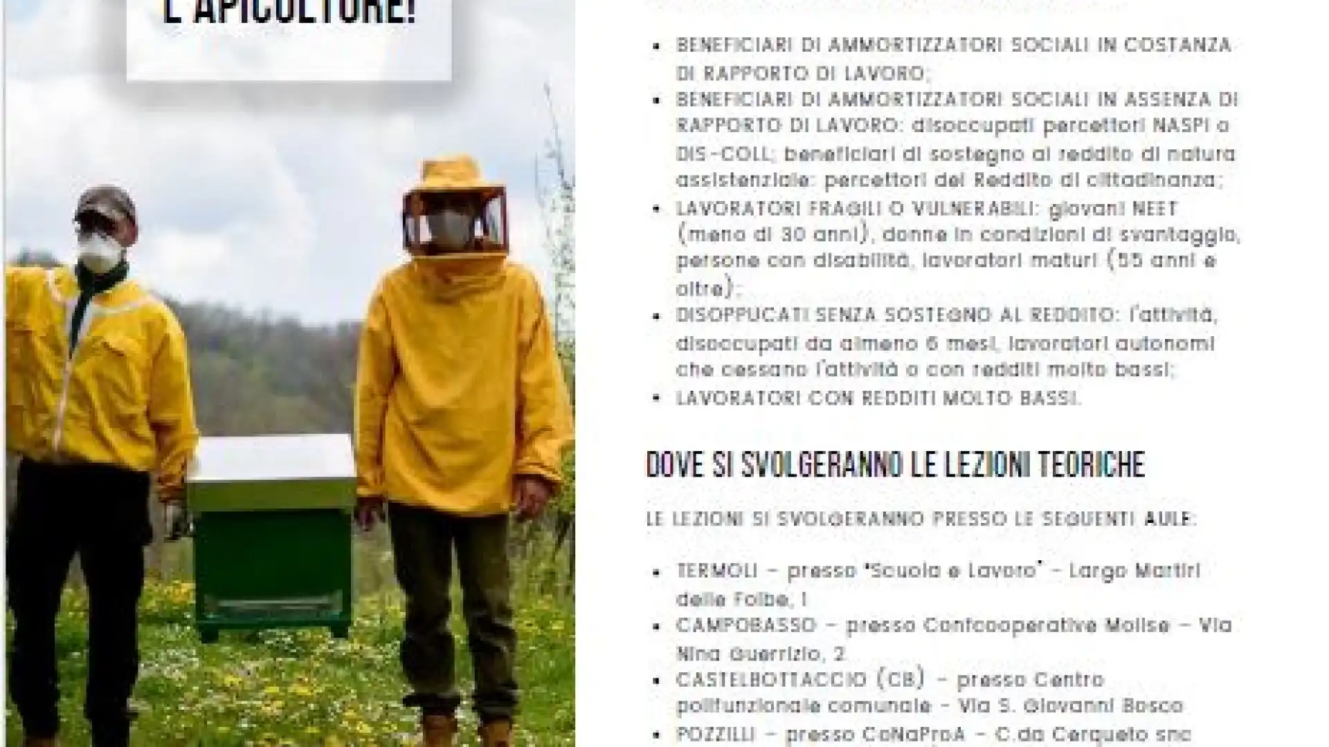 “L’apicoltura, sbocco per un’agricoltura sostenibile”. Al via il corso promosso dal gruppo Apistico paritetico Volape.